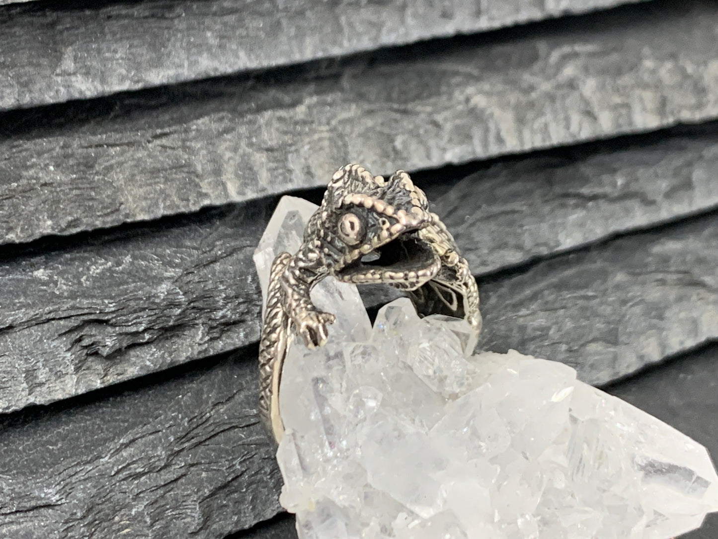"Chameleon" Sterling Ring size 7US