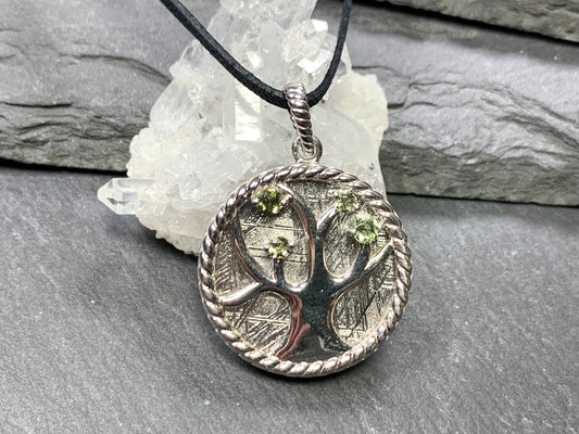 Tree Moldavite & Muonionalusta Meteorite pendant