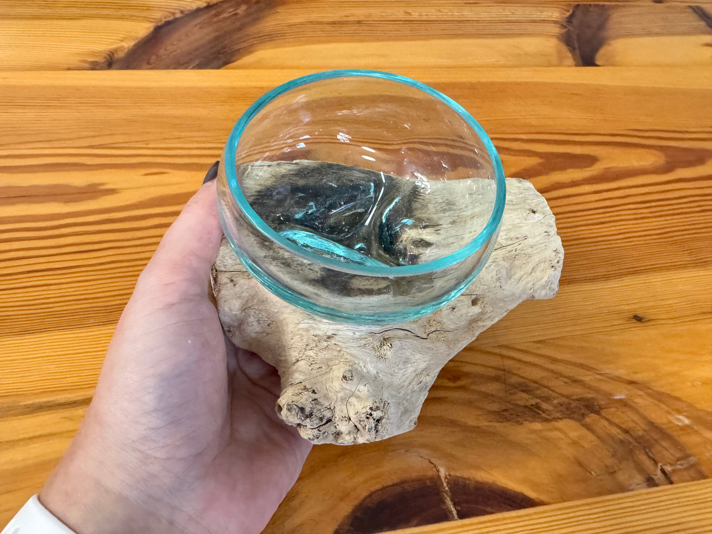 Driftwood & Glass Decor 5.5x5.3in