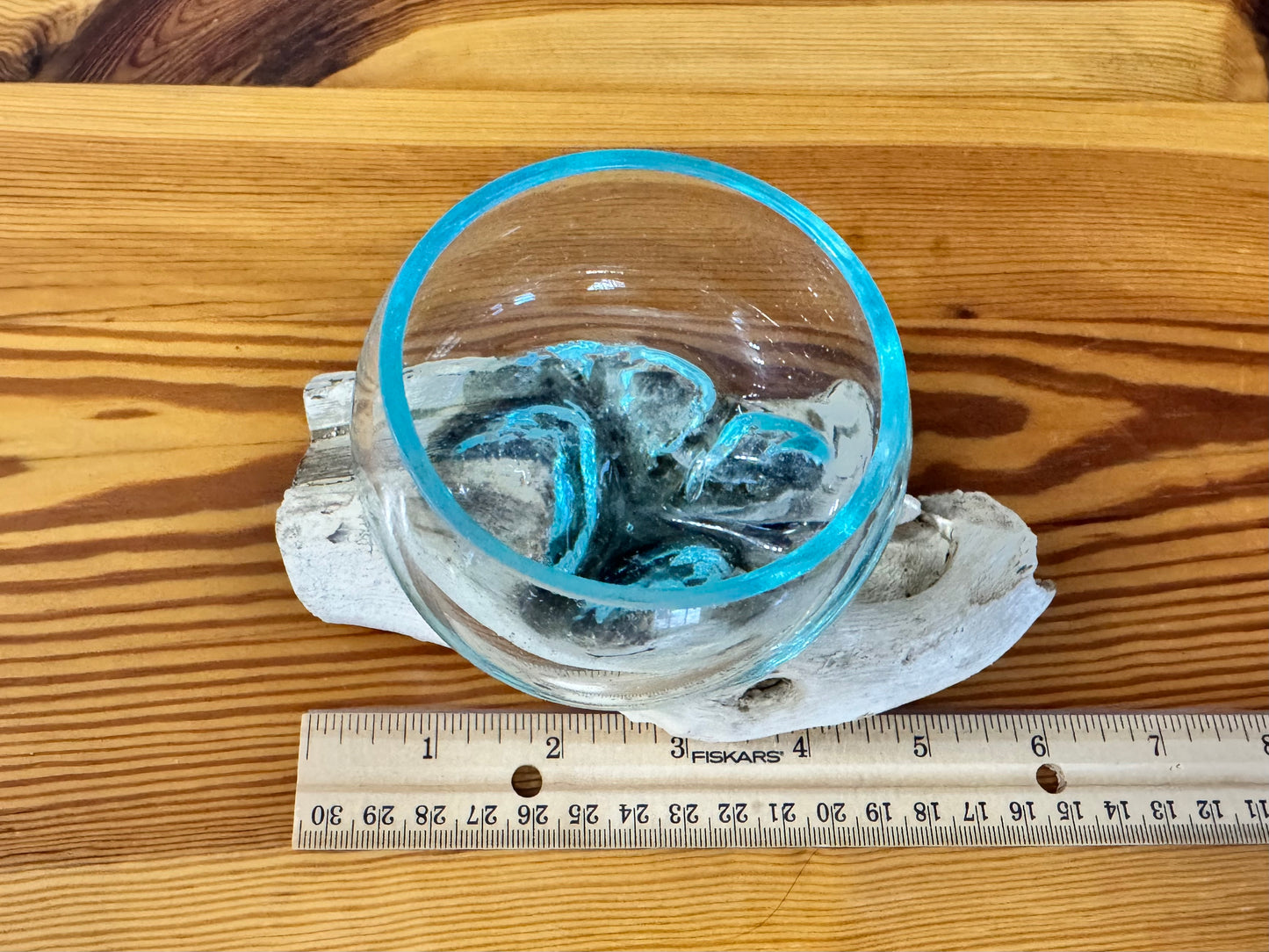 Driftwood & Glass Decor 6x4in