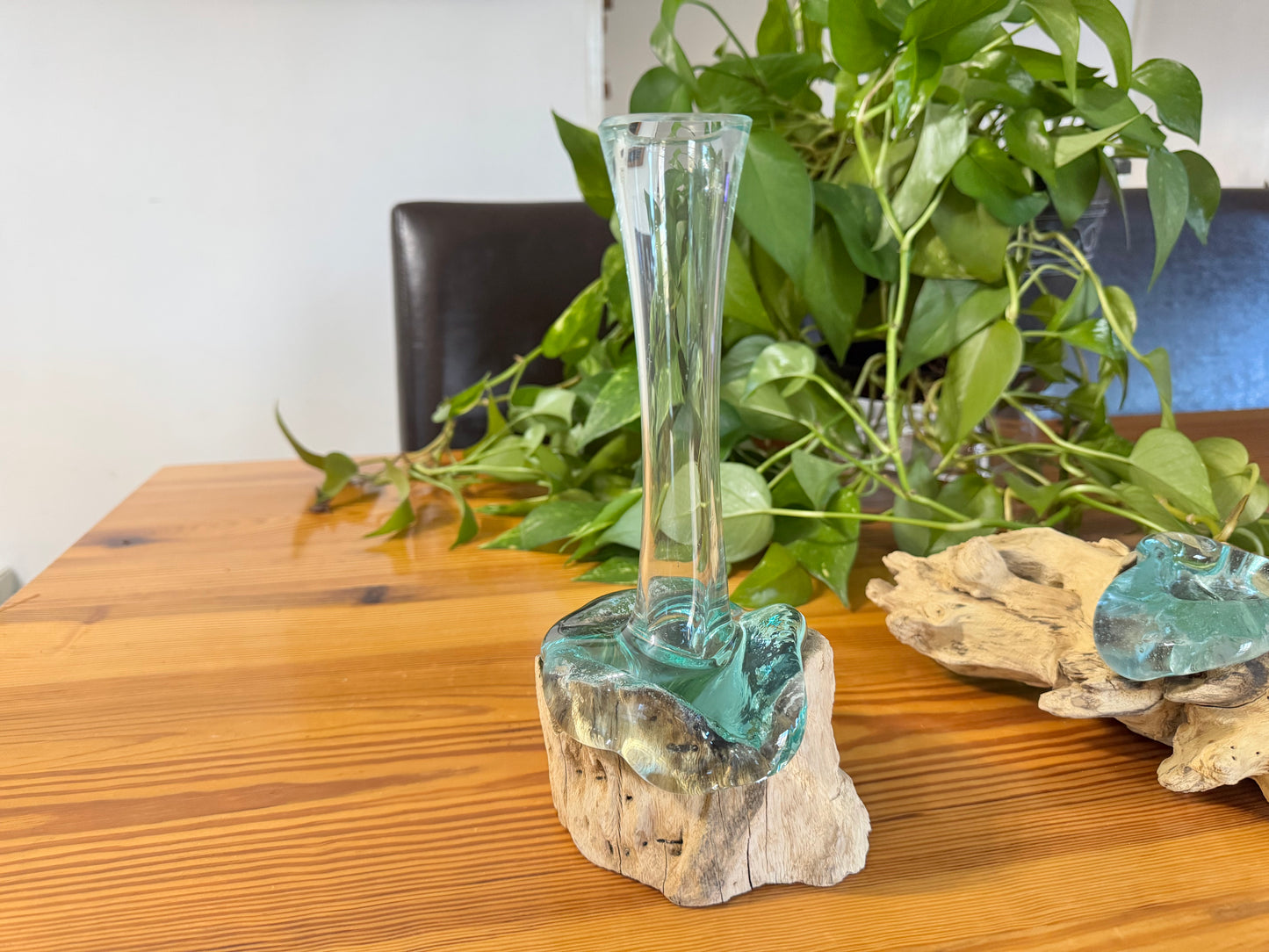 Driftwood & Glass Vase - One Flower Vase