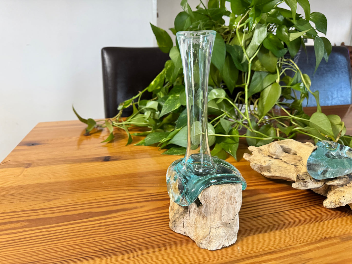 Driftwood & Glass Vase - One Flower Vase