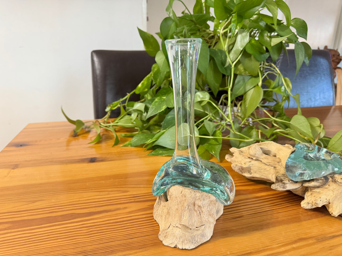 Driftwood & Glass Vase - One Flower Vase