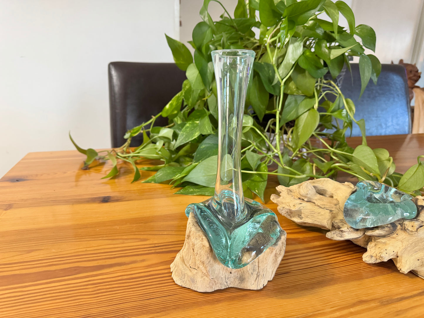 Driftwood & Glass Vase - One Flower Vase