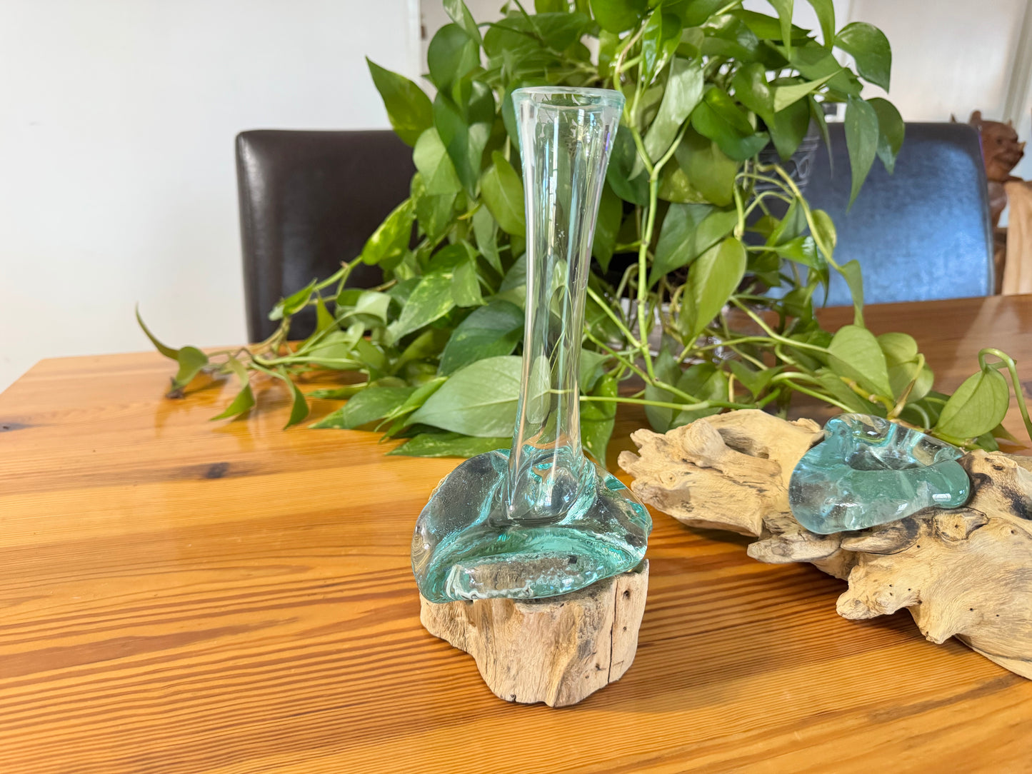 Driftwood & Glass Vase - One Flower Vase
