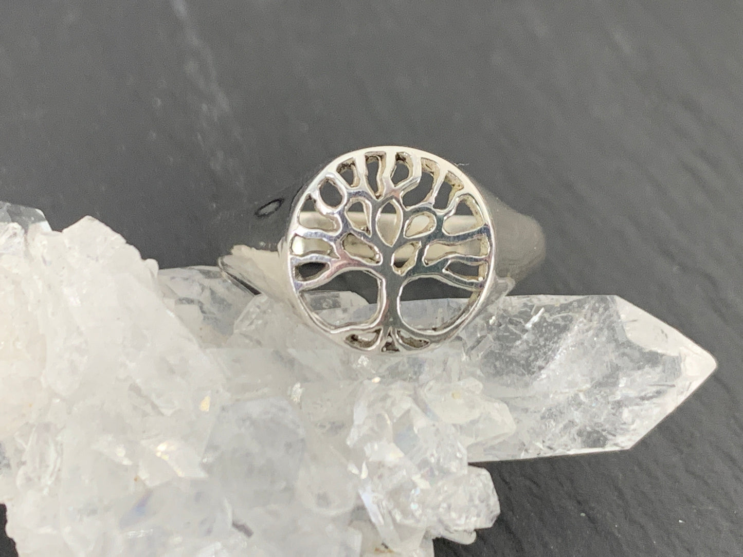 Sterling Silver Tree of Life Ring • Dainty Nature Symbol Ring
