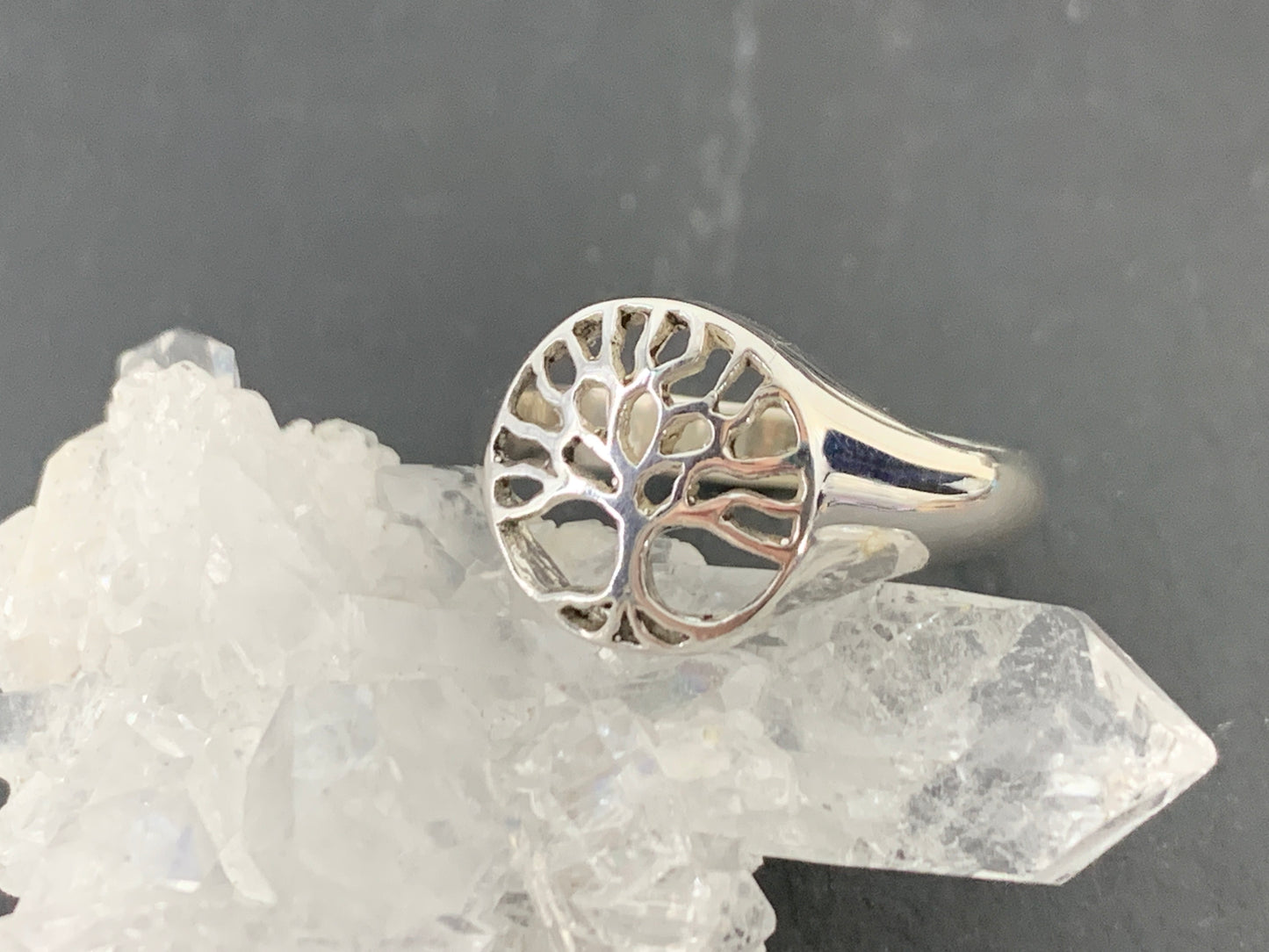 Sterling Silver Tree of Life Ring • Dainty Nature Symbol Ring