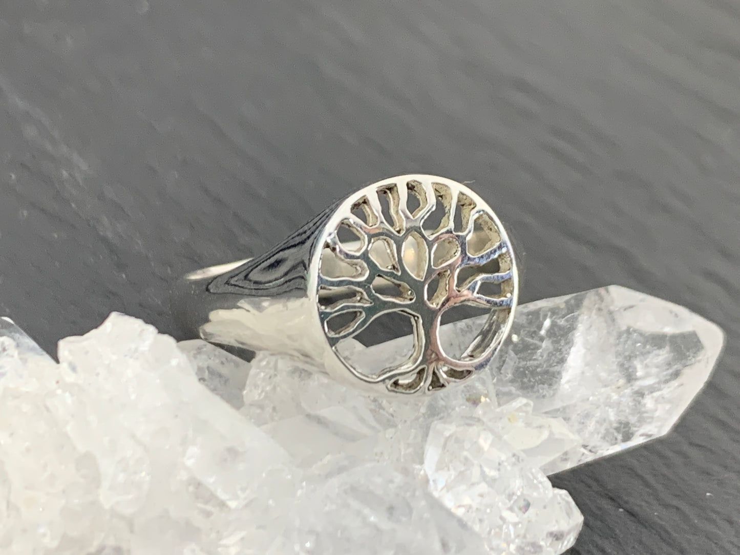 Sterling Silver Tree of Life Ring • Dainty Nature Symbol Ring