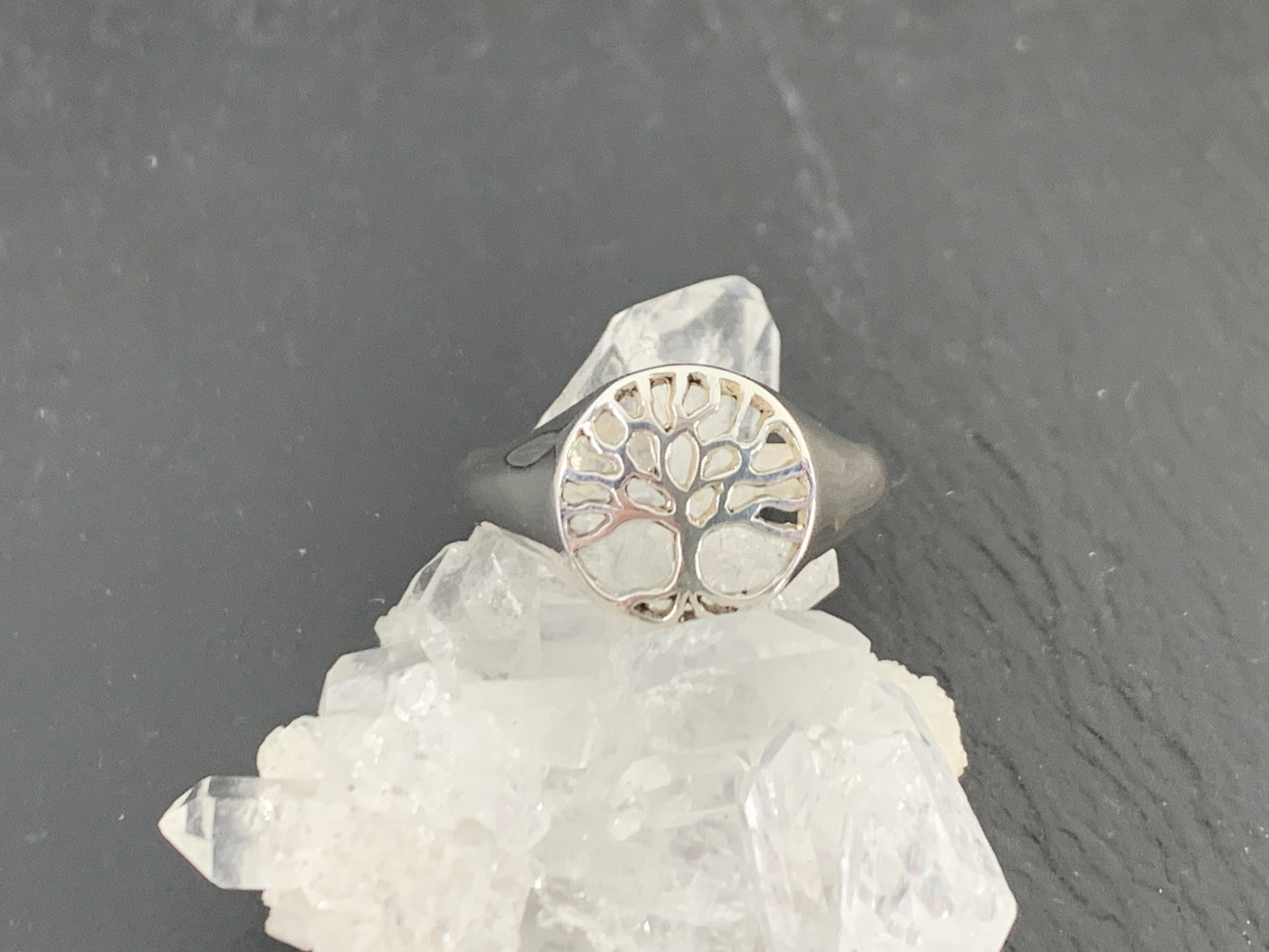 Sterling Silver Tree of Life Ring • Dainty Nature Symbol Ring